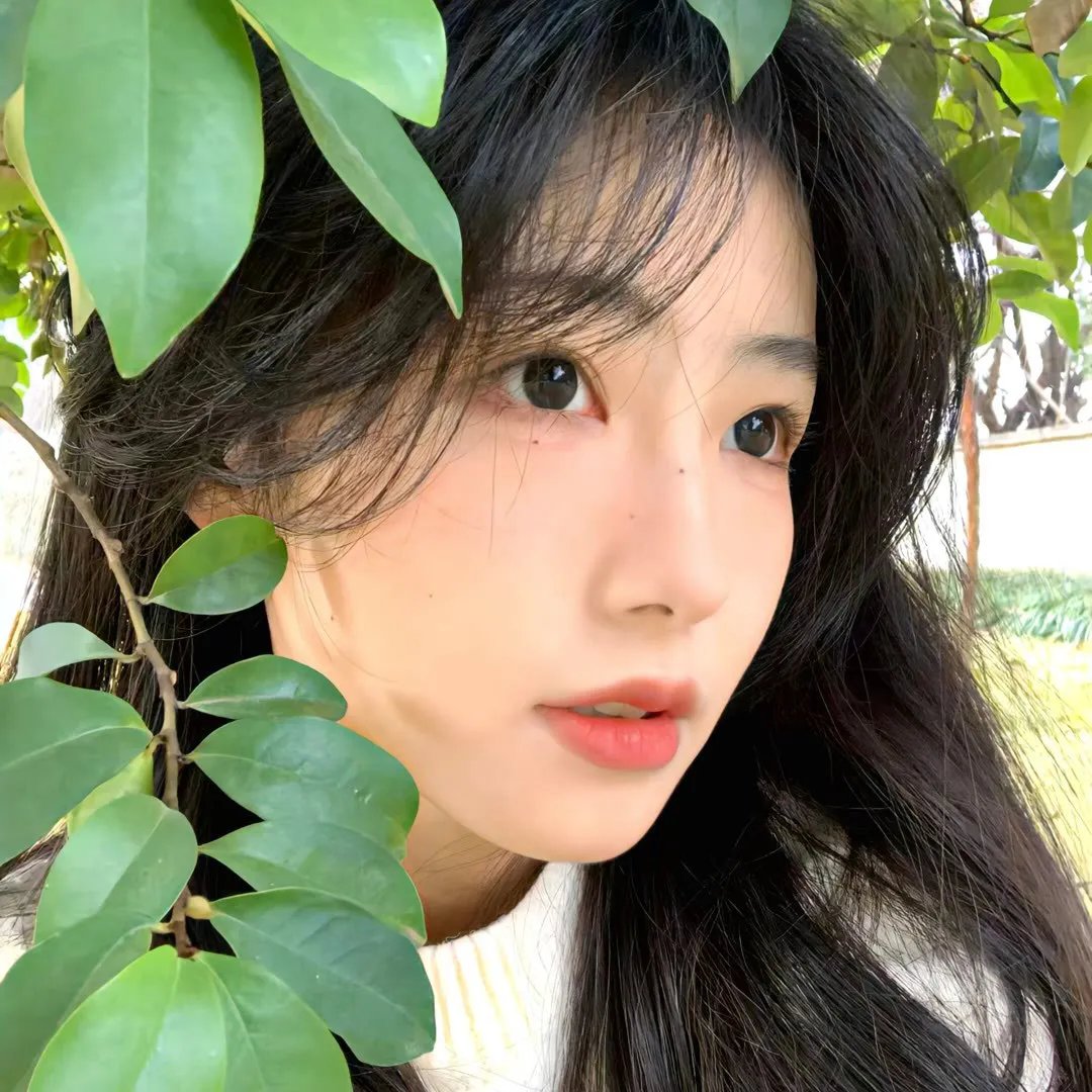 茜茜公主第一季